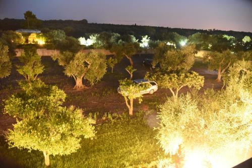 Villa Tenuta Buonasorte