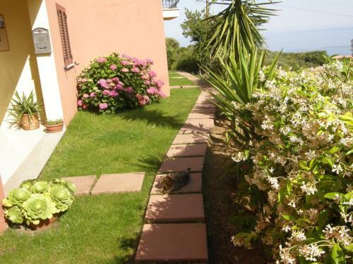 Apartamento Isola Rossa Appartamenti Paduledda