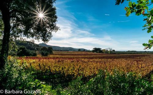 Apartamento Podere Serena Appartamento David