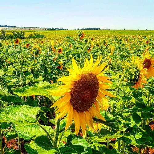 Bed & Breakfast Kibbutz Nachshon