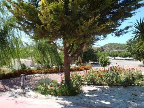 Hostal Jardines De Casablanca