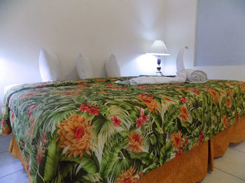 Hotel Las Palomas Express