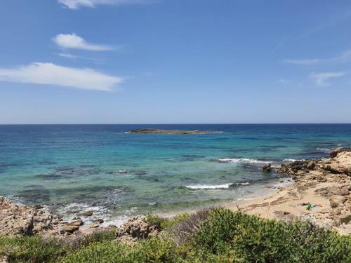 Apartamento Appartamenti Lido Pazze