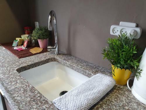 Gabriel Apartments - Superior Studios - City Center