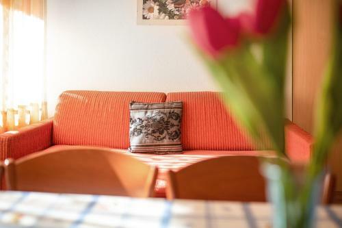 Haus Aue - Apartment 1