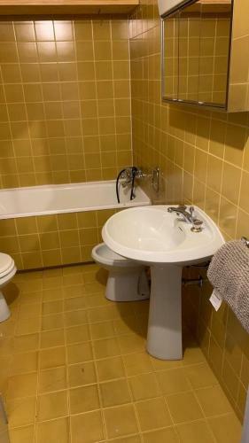Apartamento Jupiluc-pila Studio 56