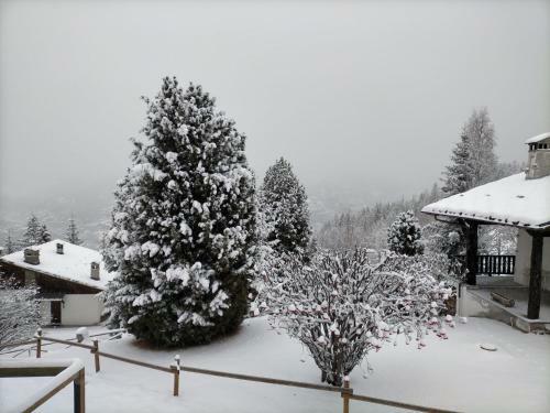 Apartamento Maison Dahu #bluchalet