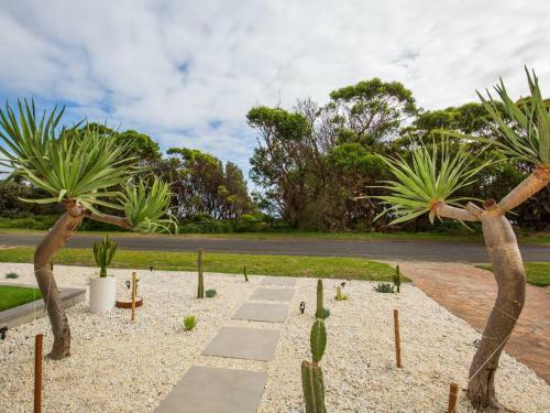 Palmera - Pet Friendly - Directly Opposite The Beach