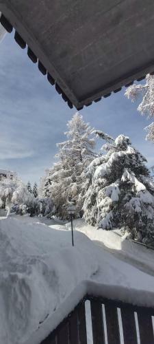 Apartamento Trento- Monte Bondone Appartamento Tipico Di Montagna,