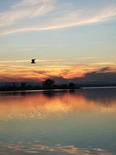 Casa Vacanze Trasimeno