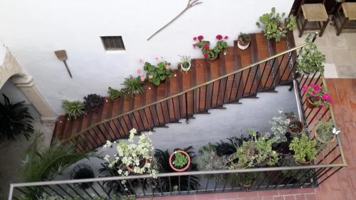 Hostal Pons