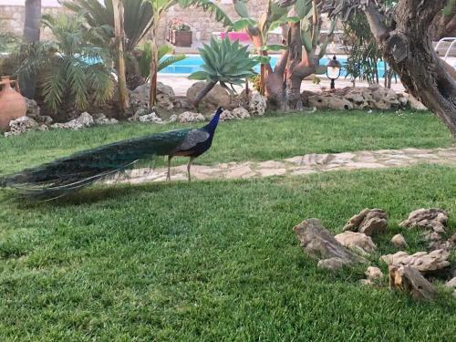 Agroturismo Tenuta De Francisci