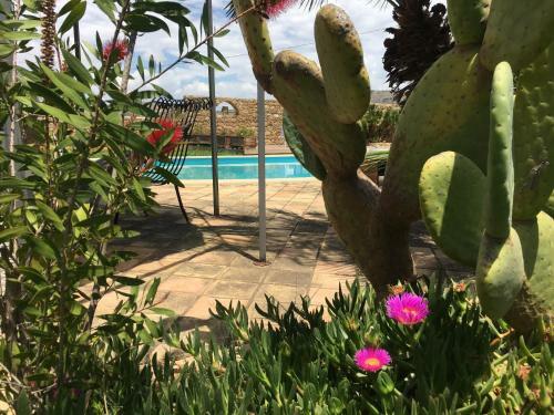 Agroturismo Tenuta De Francisci