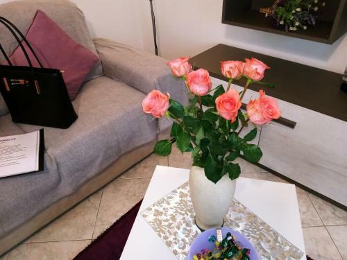 Apartamento Bassano Up