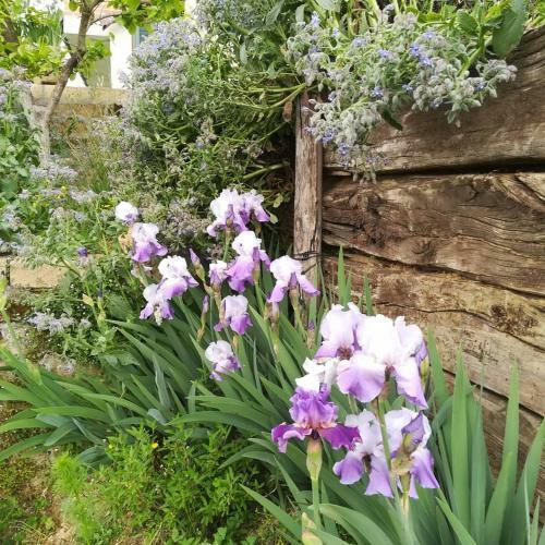 Agroturismo C� Nostra B&B Home Restaurant