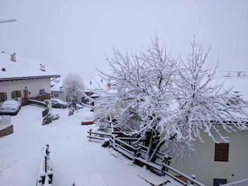Apartamento Regina Del Bosco Della Vicina Cavalese