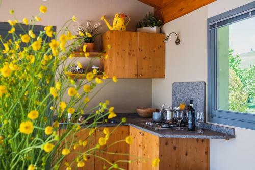 Bed & Breakfast Il Casotto Nelle Langhe