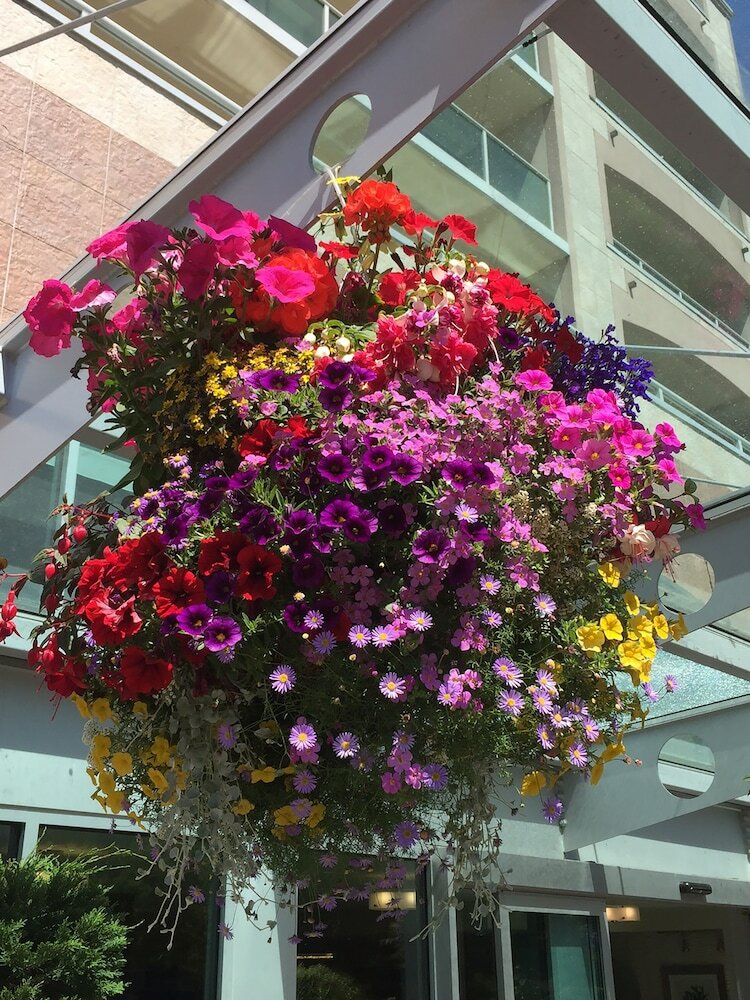 Hotel Best Western Plus Inner Harbour