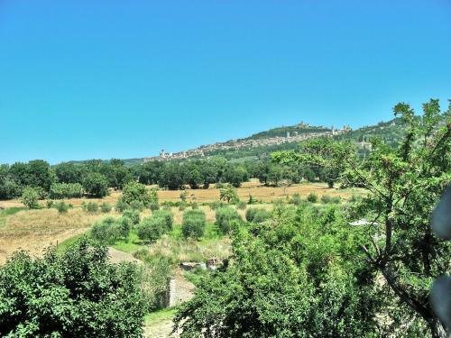 Torrematta