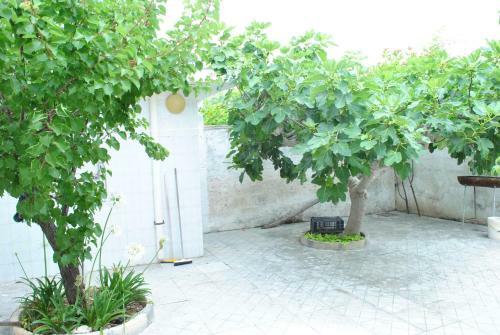 Apartamento Residenza Del Sole Mare