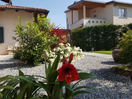 Agroturismo La Rosa Gialla B&B - Apartments