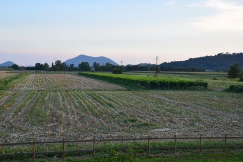 Ginevra's Country Home