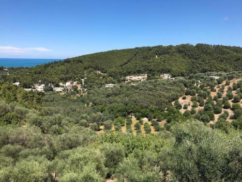 Apartamento Villa Pineta Vista Mare