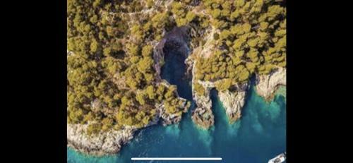 Apartamento Villa Pineta Vista Mare