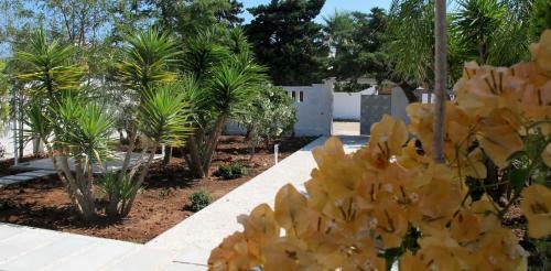 B&B Le Thuje