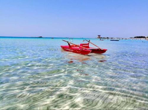 Apartamento Acquazzurra Affittacamere