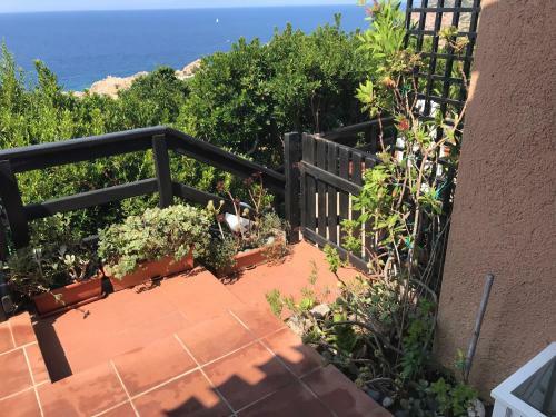 Apartamento Paradiso