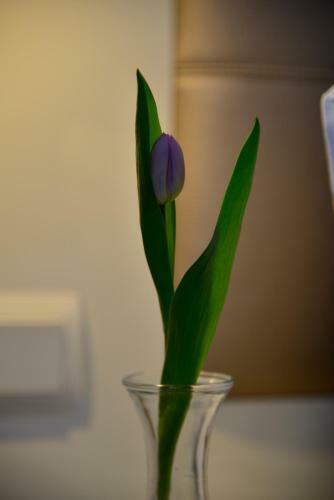 Business Wieland Hotel