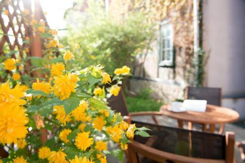 Apartamentos Fewo Im Stieg 2