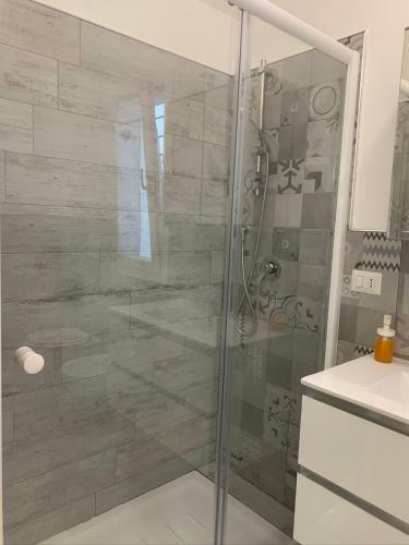 Il Fenicottero
