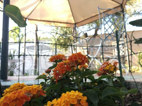 Hostal Erpi Vacanze Di Palmate' Cinzia
