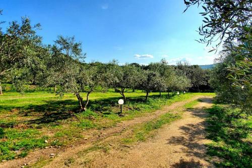 Villa Celeste / Private / Escape To Nature / Olive Groves / Sea Views
