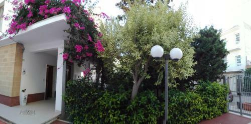 Bed & Breakfast La Magnolia
