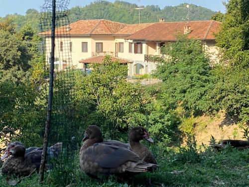 Apartamento Appartamento In Cascina