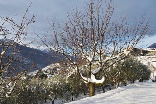 Fantastica Villa Fra Le Alpi Valtellinesi