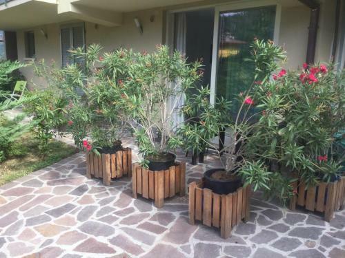 Apartamento Poggio Ai Vigneti