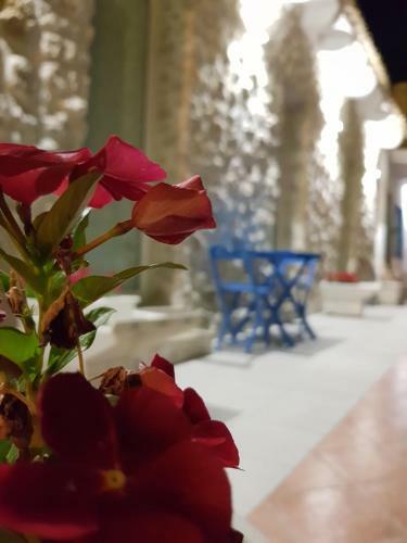 Bed & Breakfast Casa Vacanze Brezza Di Gaffe