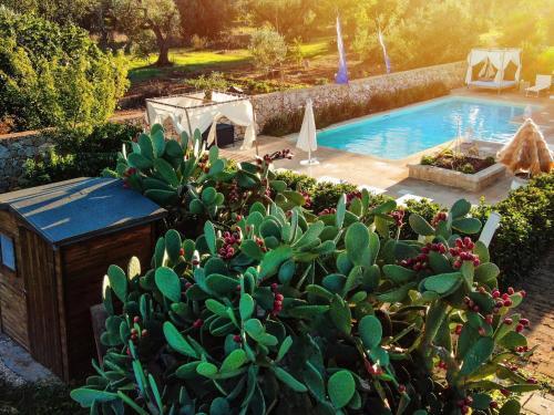 Apartamento Locazione Turistica Suite Spiaggia