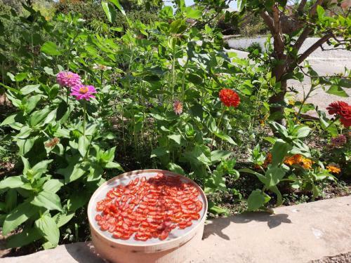 Bed & Breakfast Mediterraneo