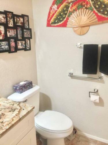 Newly Remodeled Fully Accessible, Close To Mayo