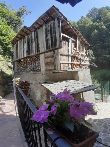 Bed & Breakfast Il Mulino Di Aurora