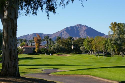 Scottsdale Sahuaro Home