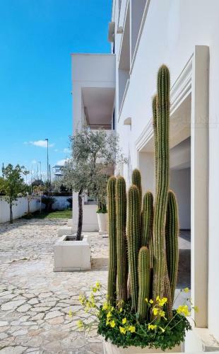 Apartamento Beach Houses Baia Verde