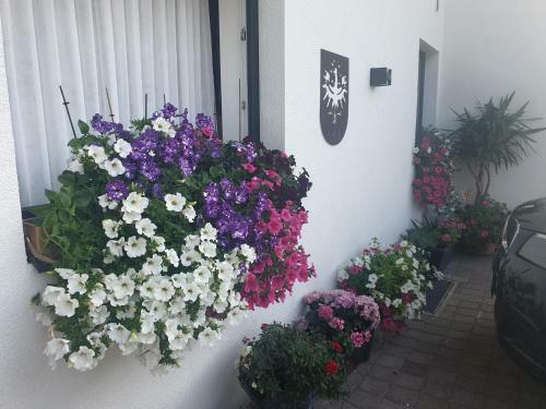 Apartamento Appartementhaus H�ttenberger