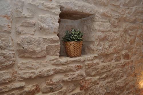 Piazzetta Appartamento Trullo Con Alcove