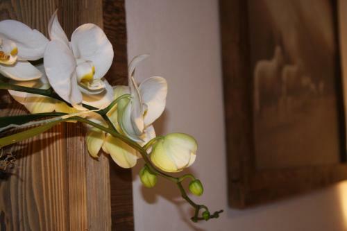 Apartamento Haus Berghoamat